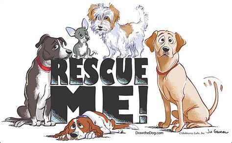  A reputable rescue group does not make a profit on their adoptions, so a little extra to the group can go a long way in helping other rescued boxers