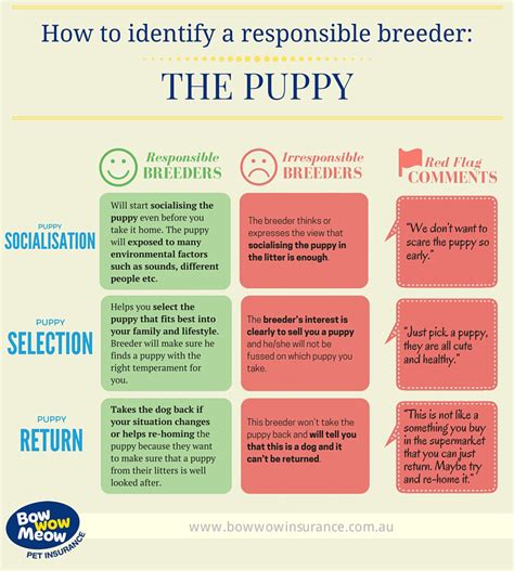  A responsible breeder must be knowledgeable about the breed and the optimal conditions where he grows the dog