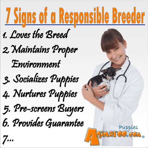  A responsible breeder will screen their dogs for genetic conditions and will not sell a puppy to a home that does not have the resources to care for them