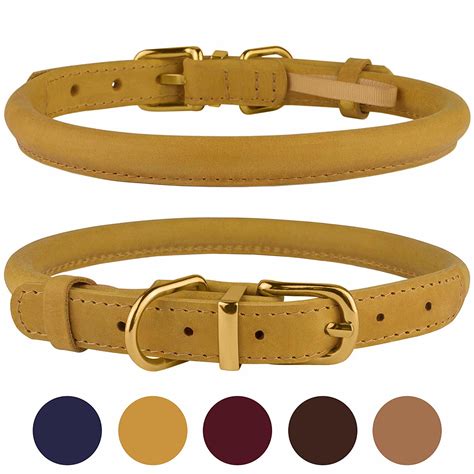  A rope dog collar is affordable, looks great, and is durable