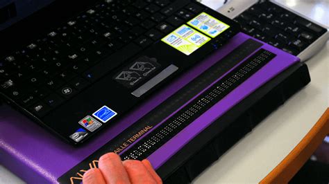  A screen-reader is software for blind users that is installed on a computer and smartphone, and websites must be compatible with it