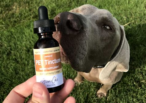  A single drop or edible made for human consumption may be too much CBD for a toy or even a medium-sized dog breed, for example
