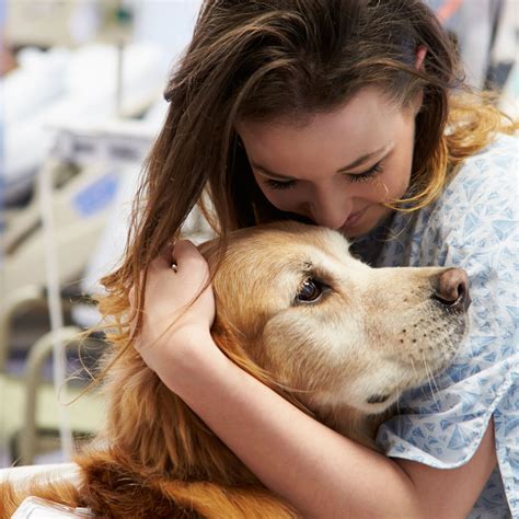  A young dog in good health could require even more