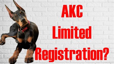  AKC Unlimited full Registration