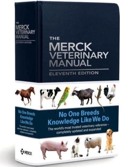  According to the Merck Veterinary Manual , common signs of marijuana toxicosis that owners may notice include inactivity; incoordination; dilated pupils; increased sensitivity to motion, sound or touch; hypersalivation; and urinary incontinence