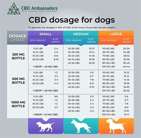  Accordingly, dogs larger than the parameters of the recommended CBD dosage could receive extra treats, but only to the ratio of their body weight and size