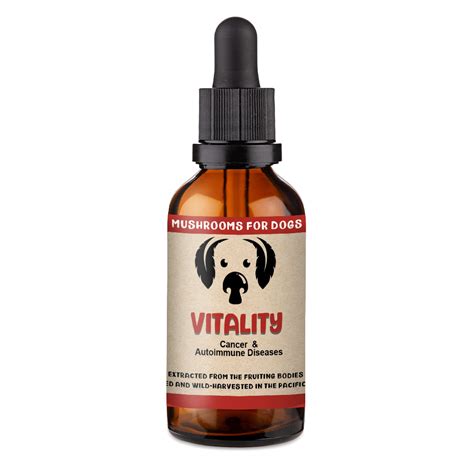  Adding one of the MycoDog mushroom tinctures for dogs , or even rotating use of the three tinctures, is a great way to ensure your pet gets all the benefits of medicinal mushrooms