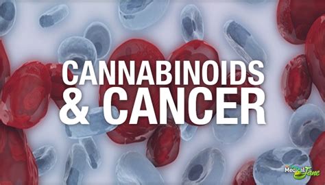  Additional evidence suggests that cannabinoids may enhance the effect of conventional treatments such as chemotherapy and radiation therapy