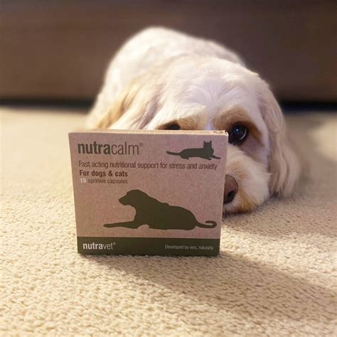  Additionally, CBD has been found to have a sedative effect on pets, which can help them fall asleep faster and stay asleep longer