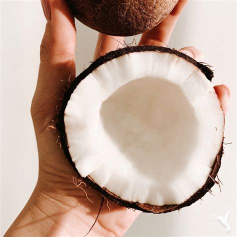  Additionally, coconut oil has antimicrobial properties that can help combat yeast and fungal infections in dogs