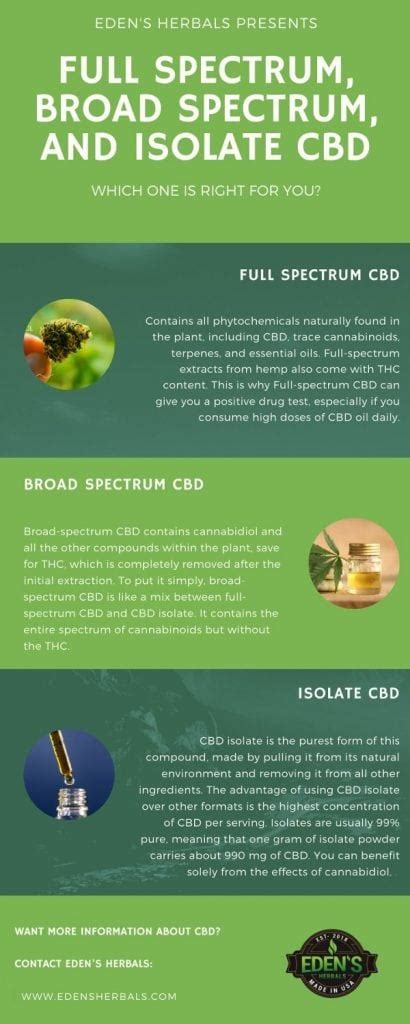  Additionally, full and broad spectrum CBD products have undergone less processing than CBD isolate, meaning they retain more of the beneficial compounds found in the hemp plant