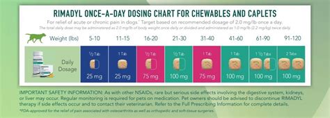  Administer the dose once a day and take notes of how your pet is responding