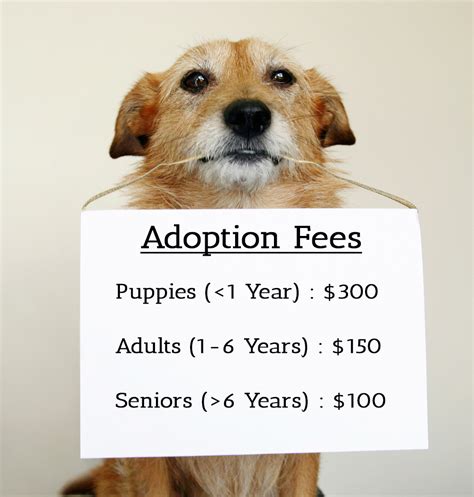  Adoption fees are set at the time a dog goes available for adoption