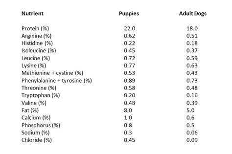  Adult dogs and puppies have different nutritional needs