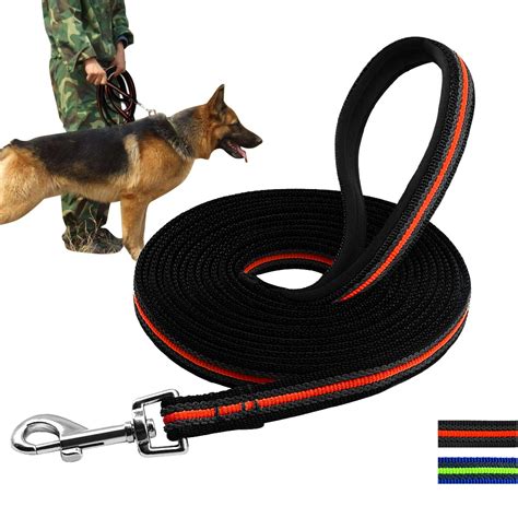  After a period of training with the short leash, remove it and connect the longer lead