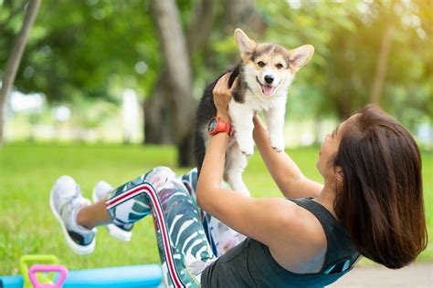  After the dog is in your care enrolling in a puppy class would be beneficial