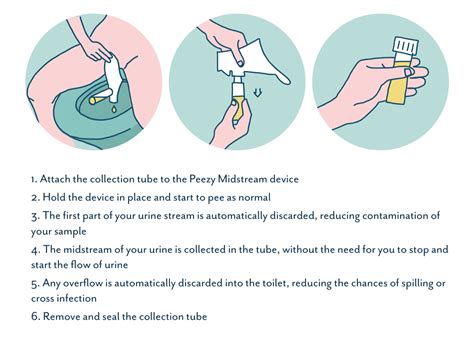  After the test After collecting a clean catch urine sample, simply close the sample container and return it to a staff member at the testing facility, or follow the instructions in the test kit to send to a lab