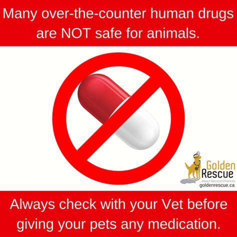 Again, please work with your veterinarian as much as possible to make sure every medication, natural or not is working together safely on your pet