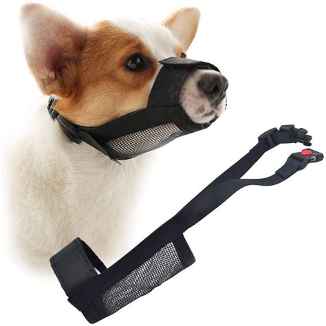  Air travel is not recommended for dogs with short muzzles because of associated breathing difficulties