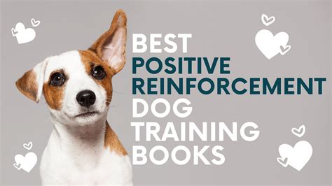  All dogs respond best to positive reinforcement
