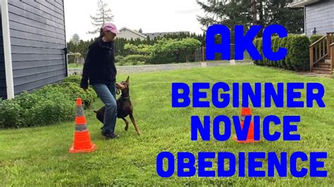  All exercises in obedience and protection are demonstrated off leash