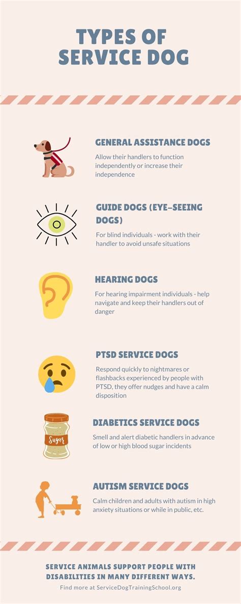  All of these selective requirements for service dog candidates make Grand Future American Bulldogs an ideal fit