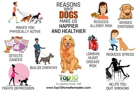  All of this can make your dog healthier and happier and less likely to show aggression towards you, other animals, or people
