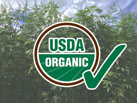  All our products are made from USDA certified organic hemp to ensure they are as natural and wholesome as possible