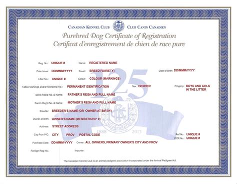  All our puppies are purebred and come with certificates to prove it