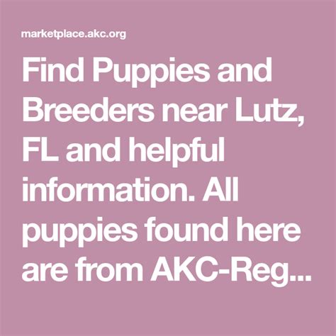  All puppies found here are from AKC-Registered parents