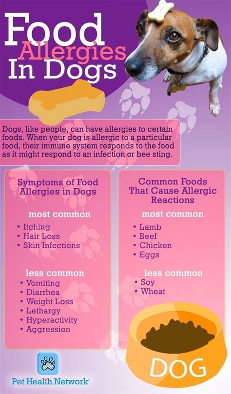  Allergies and Food Sensitivities If your dog has any known allergies or food sensitivities, make sure to choose a dog food that is free from those specific allergens