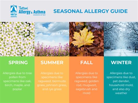  Allergies can be a year-round issue or appear in any of the four seasons