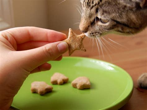  Allow the treats to cool completely before serving to your pet
