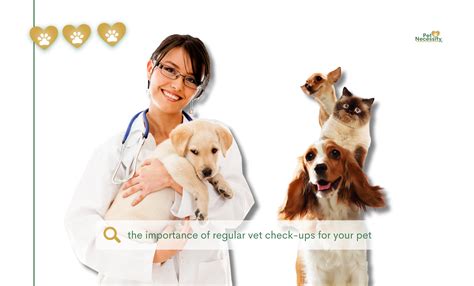  Also, as long as you take your dog to vet check-ups regularly, and if the dog has received all the necessary vaccines for his age, you can be sure that your dog is healthy