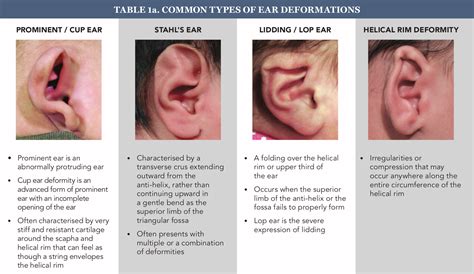  Also, check their ears and mouth for any defects as it could mean diseases