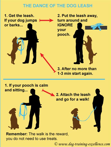  Also, make sure, you allow your dog to be without a leash for sometime every day, since they do not always prefer to be in a leash