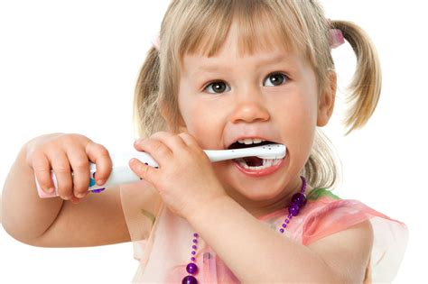  Also, trim their nails when long and brush their teeth at least 2 to 3 times a week