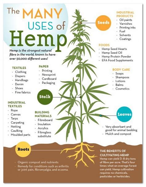  Also if the hemp used is from locally grown USA hemp? European sourced hemp may have originated from China, and ended up being processed in Europe