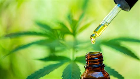  Although there is very little scientific evidence supporting any use of CBD oil for allergies, the anti-inflammatory properties of cannabidiol may help ease some sensations