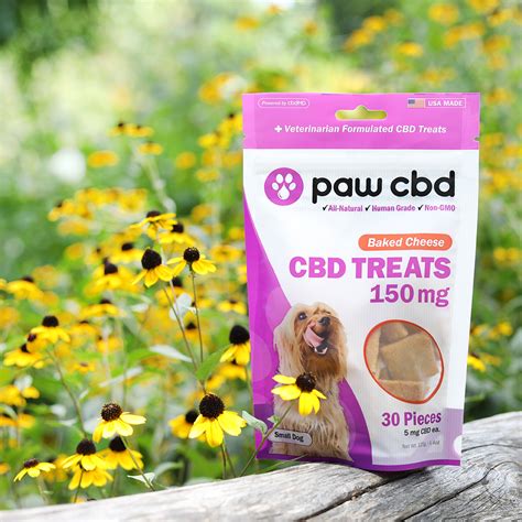  Always choose high-quality, dog-specific CBD products and consult a veterinarian before changing your pet