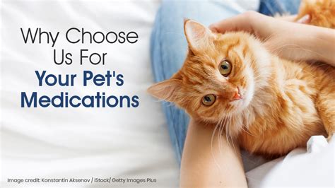  Always discuss any medication changes with your veterinarian