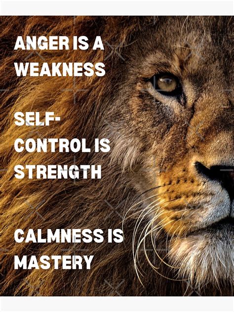  Always remember to a dog anger is a weakness, so take a deep breath and control yourself