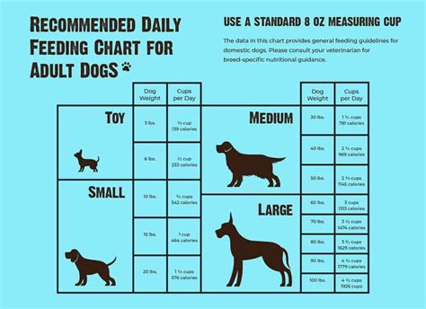  Always start with the smallest daily recommended amount for your pet