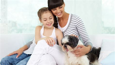  Always supervise your dog with children and vulnerable adults