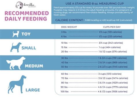  Amount and Frequency After six months, your dog should be on his adult feeding regimen: one and a half to two cups of food per day, divided into two meals