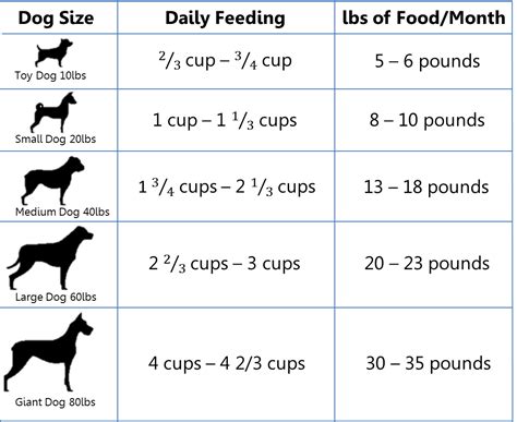  An adult Bulldog Boxer needs 3 to 4 cups of good-quality dry dog food, divided into three evenly spaced meals daily