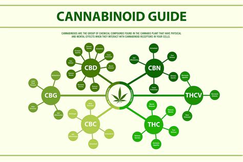  And CBD has been extensively researched as a cancer-fighting substance