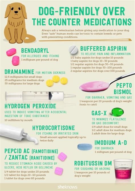  And before giving your pet any new form of medication, understanding the side effects is absolutely crucial