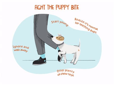  And it is important that everyone is on the same page, since it does little good for a biting puppy to be ignored by one of his humans, but able to move on to the next to play and to possibly nip again