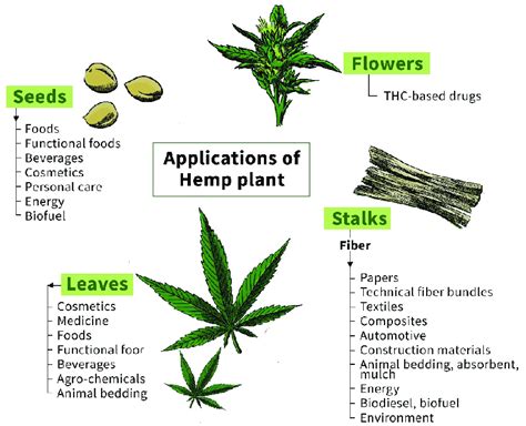  And the science on how these additional hemp plant parts affect humans, let alone dogs and cats, is still emerging, which leads many people to prefer this type of mixture